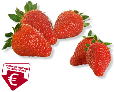 Fragole premium