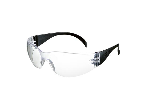 Safety Glasses/Earplugs Assortment