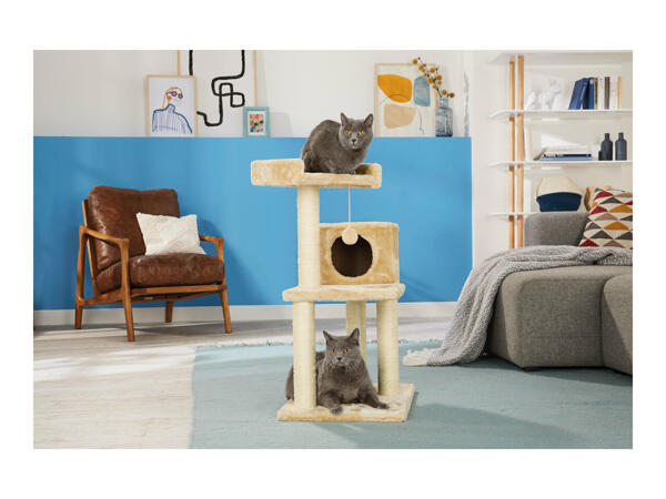 Zoofari Cat Scratching Post & Activity Centre