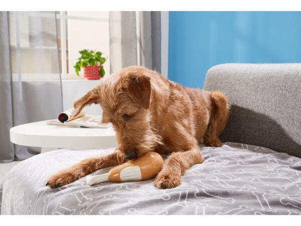 Flavoured Chew Toy