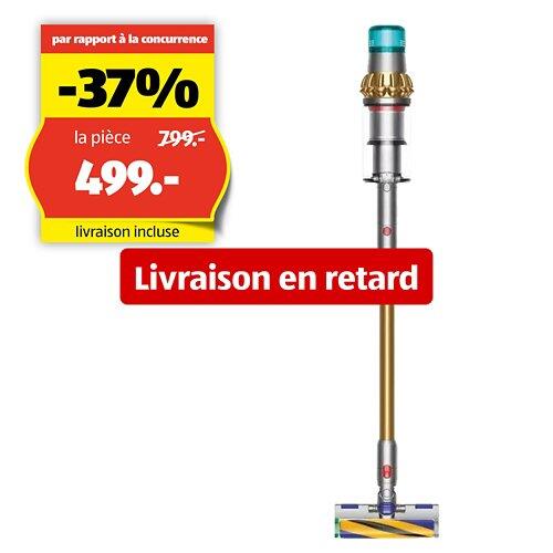 DYSON Aspirateur sans fil V15 Detect Absolute, iron gold