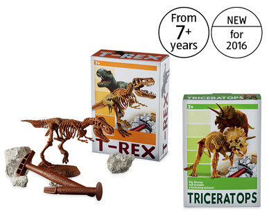 Dinosaur Excavation Set