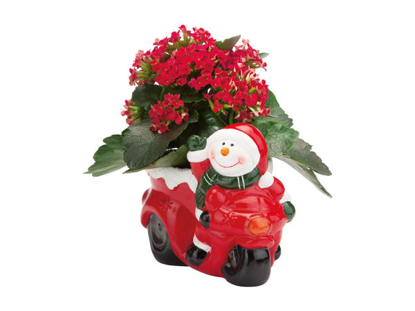 Pottery Christmas Figures with Kalanchoe