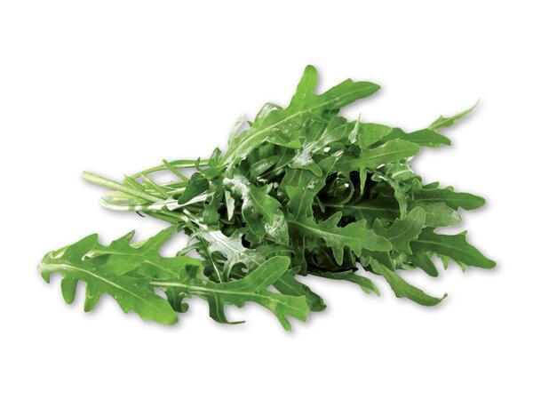 Rucola