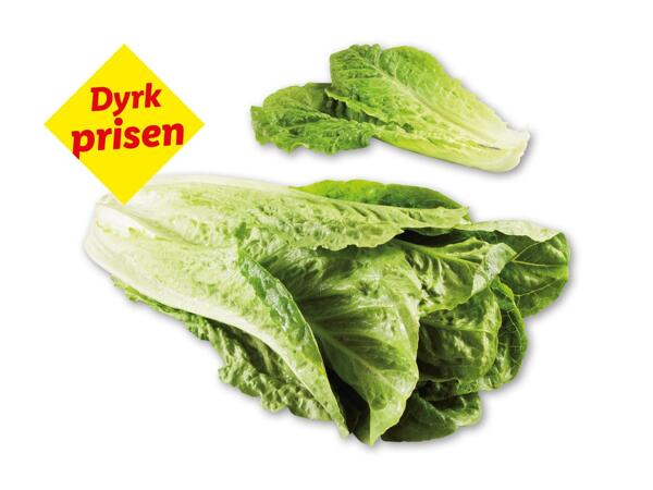 Mini-romainesalat