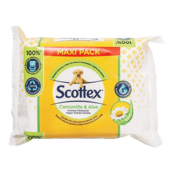 SCOTTEX(R) 	 				Feuchtes Toilettenpapier, 74 St.