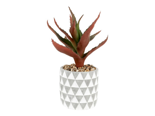 Artificial Plant