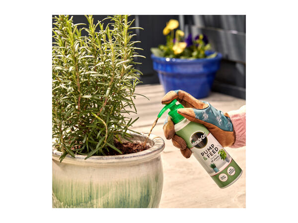 200ml Miracle-Gro Pump & Feed All Purpose