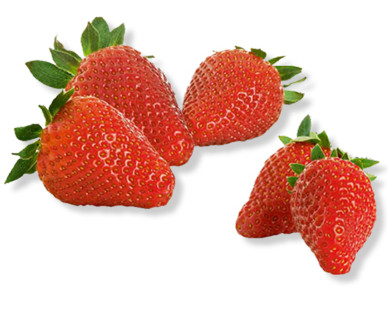Fragole premium