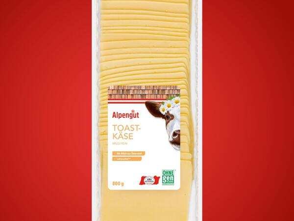 Toastkäse in Scheiben