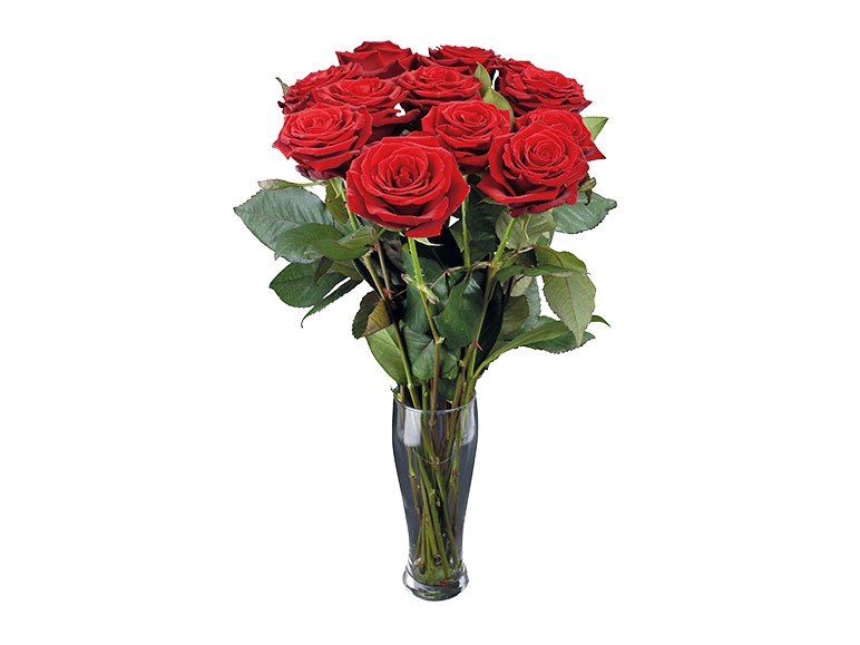 Roses