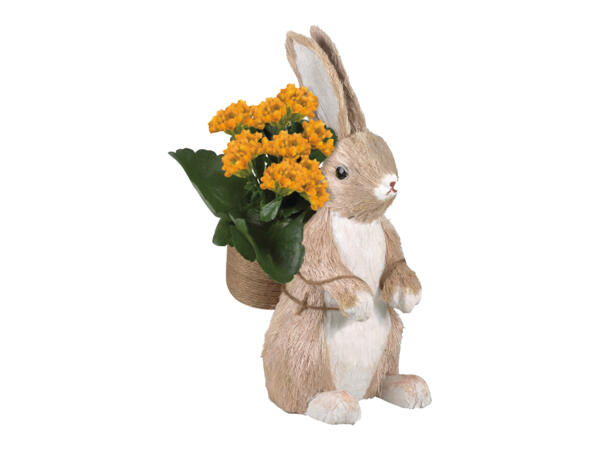 Lapin de Pâques avec kalanchoé