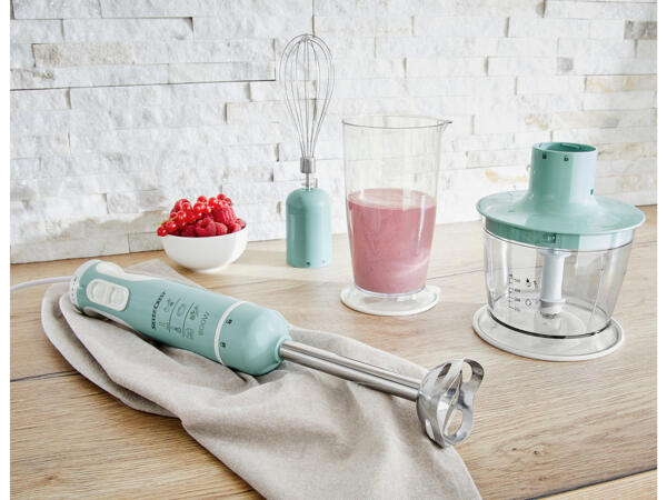 600W Hand Blender Set