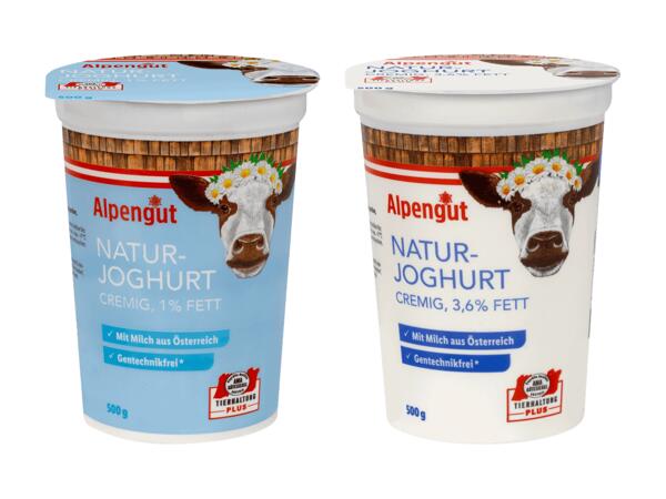 Naturjoghurt