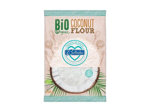 Farine de noix de coco bio