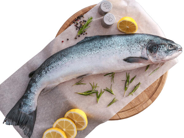 Frischer Lachs