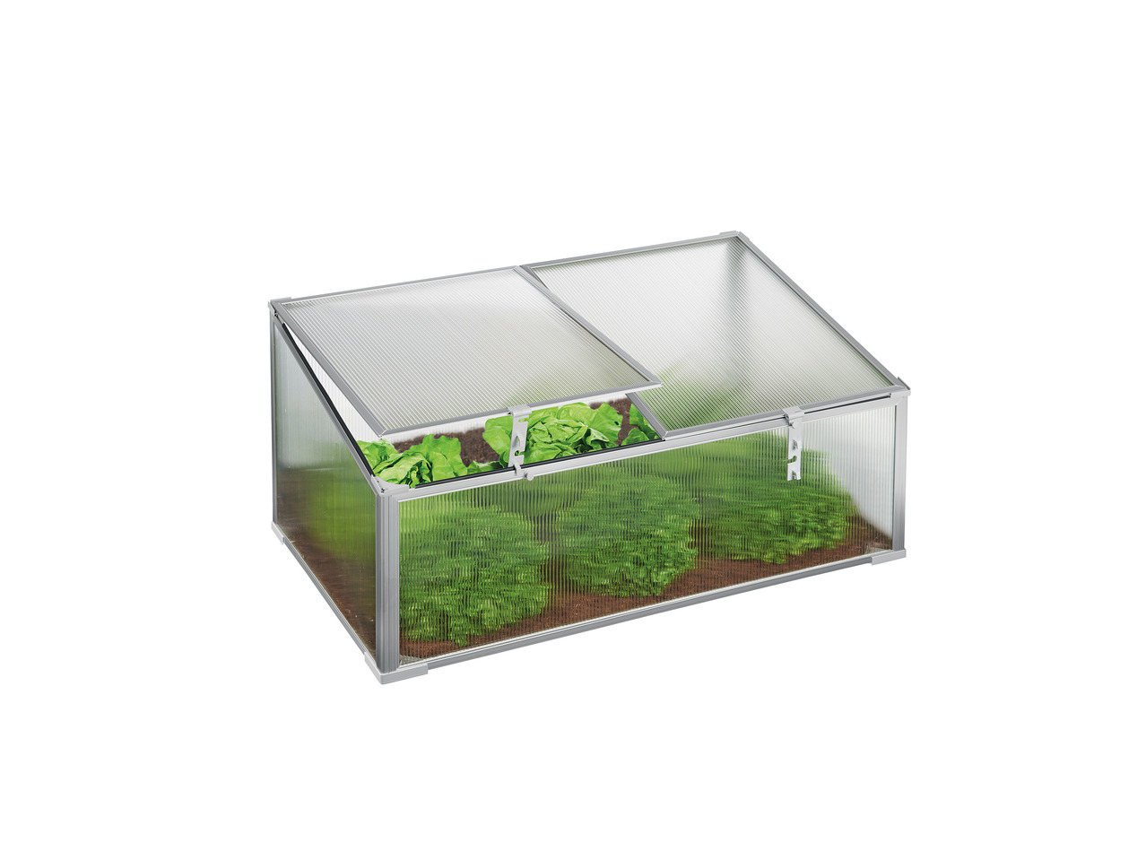 Florabest Cold Frame1