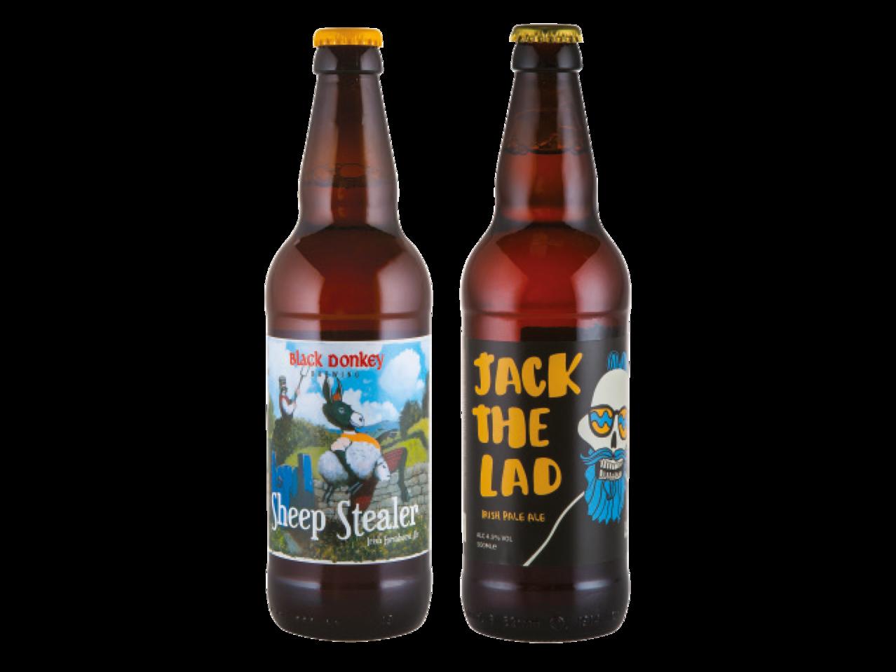 Black Donkey / Reel Deel Craft Beer 1