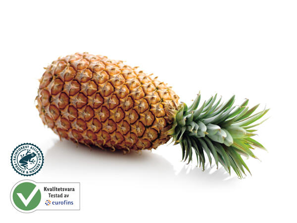Ananas
