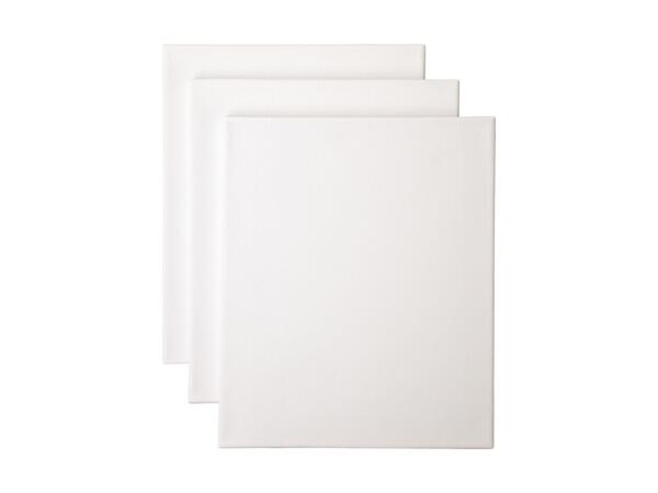 Canvas Assortment