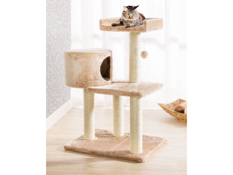 Arbre à chat