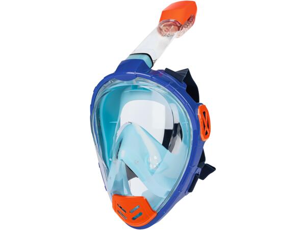 Snorkel Mask