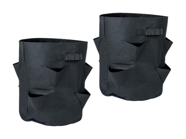 Sacs de plantation de fraisiers, lot de 2