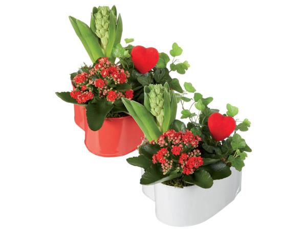 Seedlings in heart-shaped pots