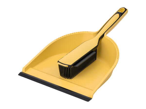 Aquapur Dust Pan & Brush Set