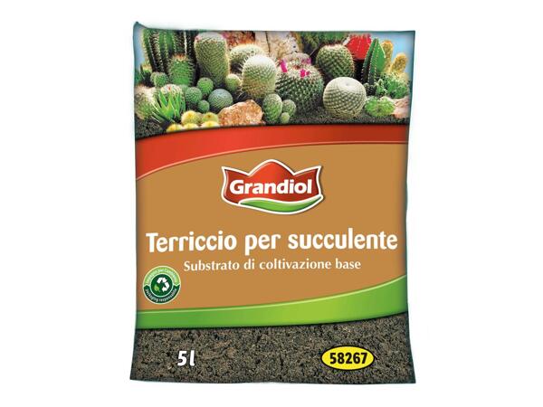 Succulents potting soil