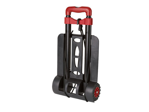 Folding Load Carrier