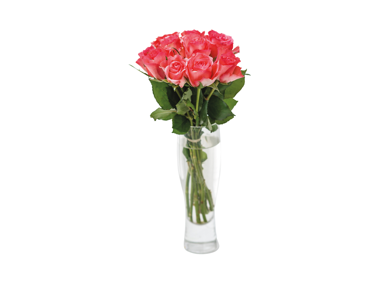 Roses1