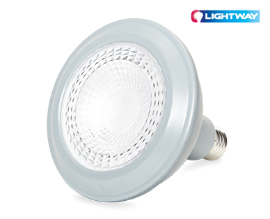 LED Par 38