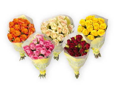 Roses Fairtrade Max Havelaar GARDENLINE(R)