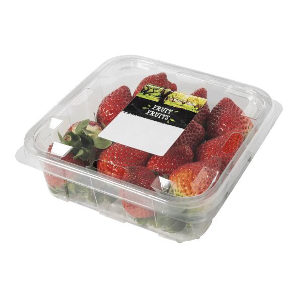 Erdbeeren