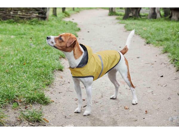 Dog Raincoat
