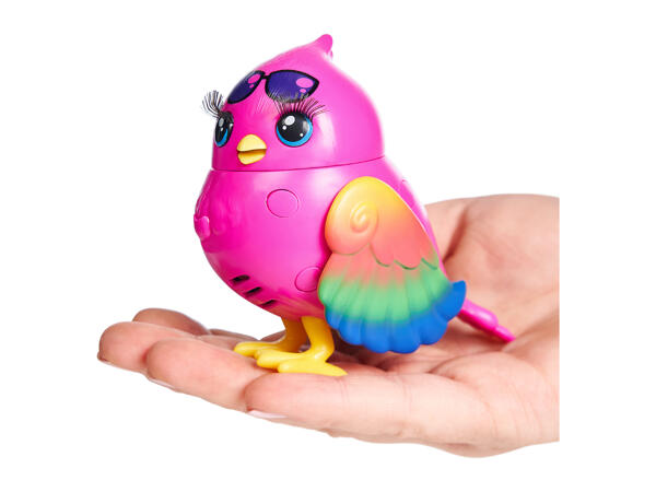 Little Live Pets Assortment