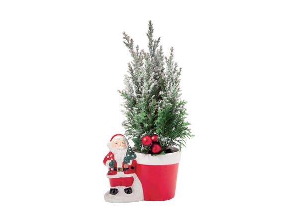 Santa Conifer