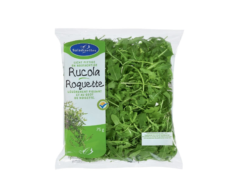 Rucola