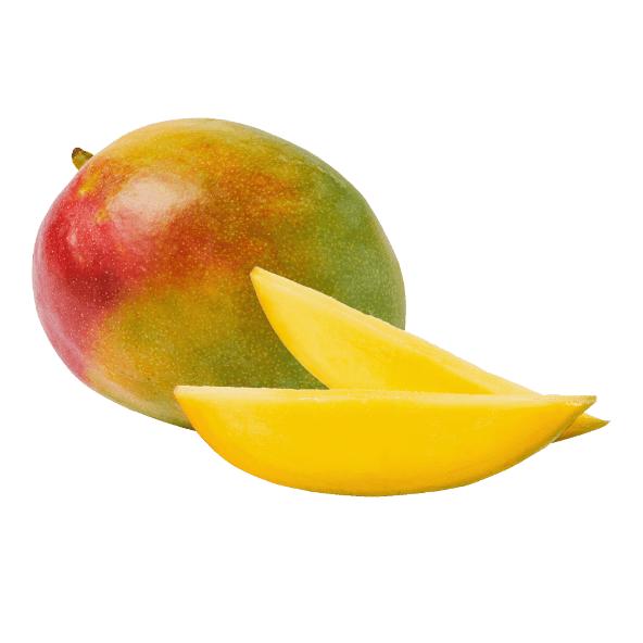 Mangue