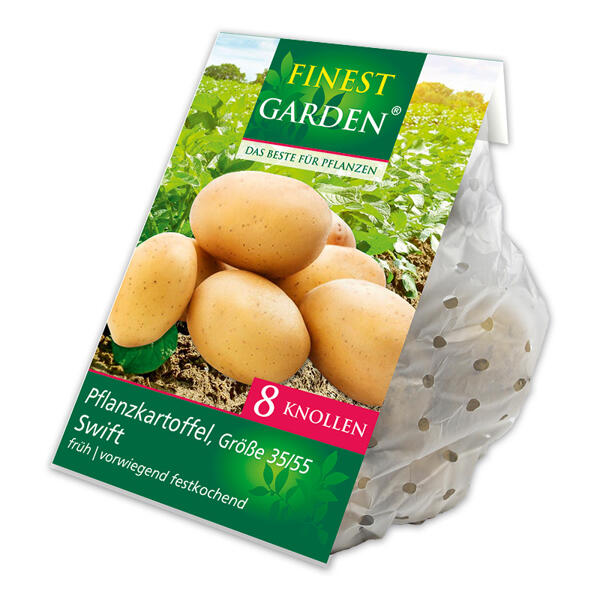 Pflanzkartoffel