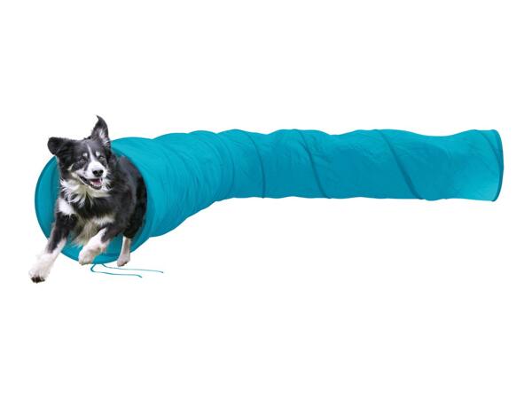 Zoofari Dog Agility Set