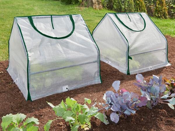 Cold Frame Assortment