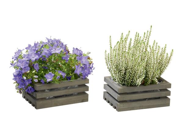 Parkside Wooden Planter Set - Set of 2 - Grey
