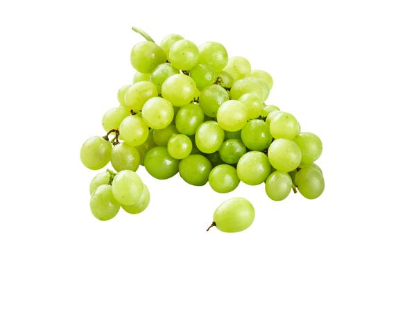Bílé hrozny stolní bezsemenné
