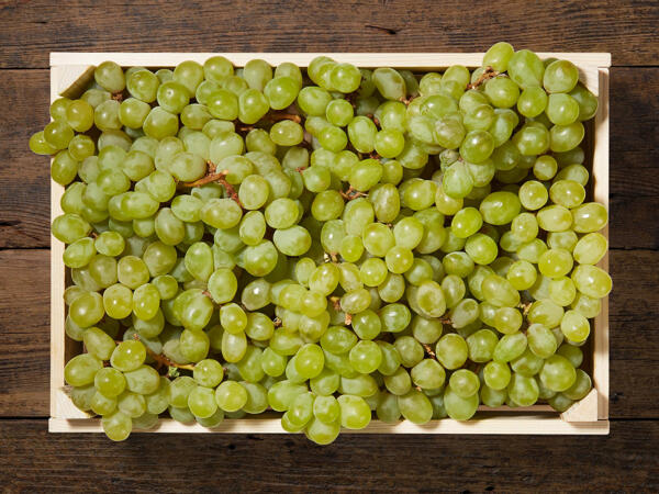 Raisin blanc XXL