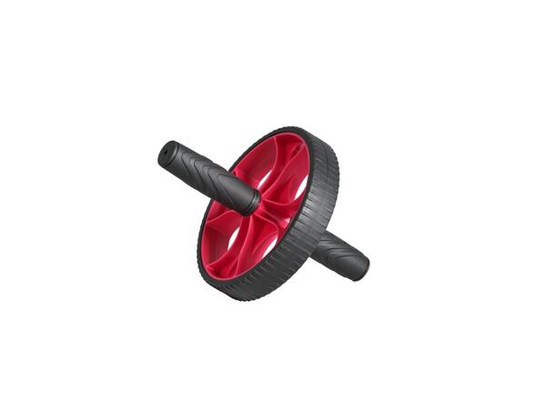 1kg dumbbell set, ankle & wrist weights, resistance bands or ab roller