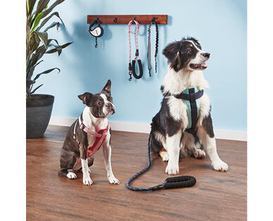 Dog Harness