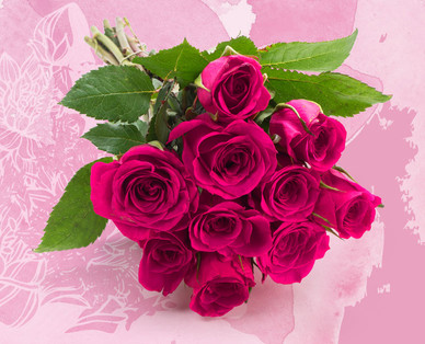Edelrosen FAIRTRADE „Pink Ribbon"