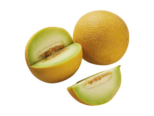 Galia Melon